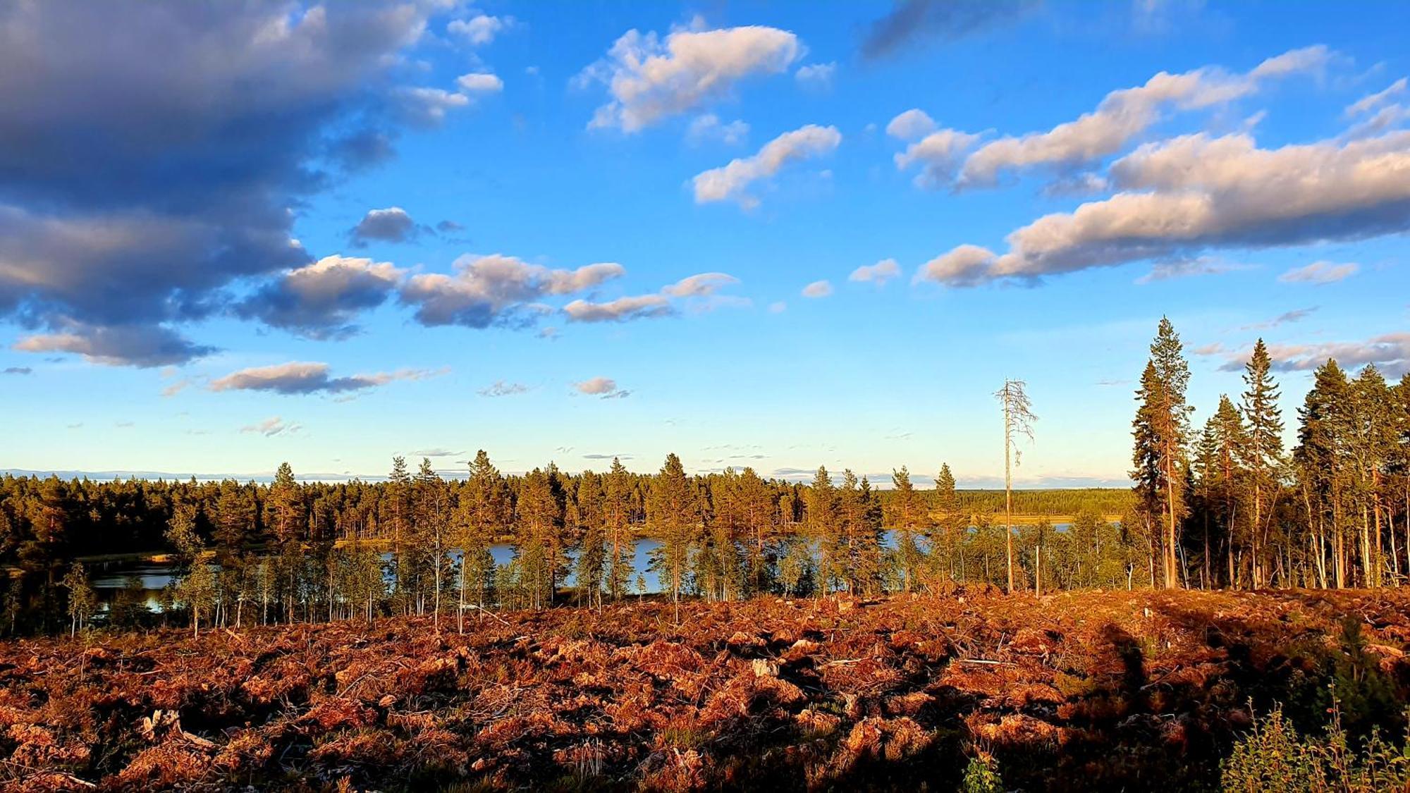 Stationshuset Dalarna Apartments Sorsjon Luaran gambar
